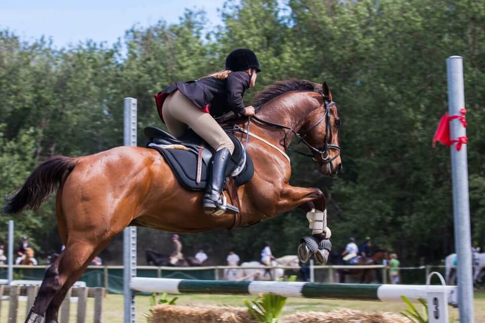 Young woman riding a horse as it jumps