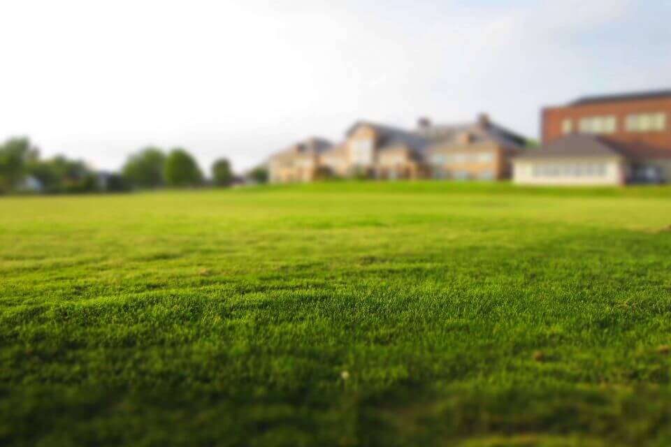 freshly laid turf in front of a building
