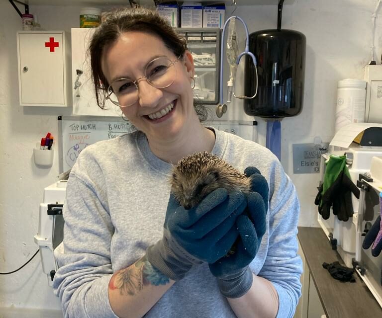 Kathryn dack volunteering at hedgehog rescue