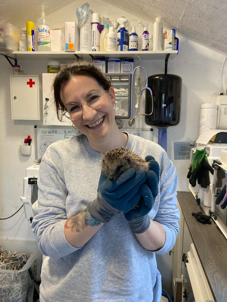 Kathryn dack volunteering at hedgehog rescue