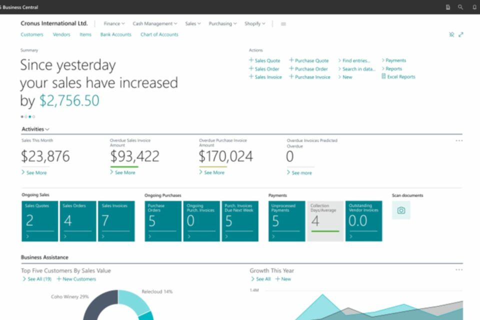 Business Central System Image