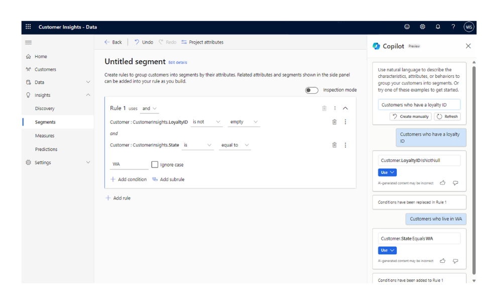 Customer Insight Data - Copilot segment build